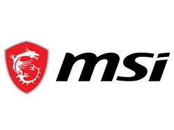 MSI