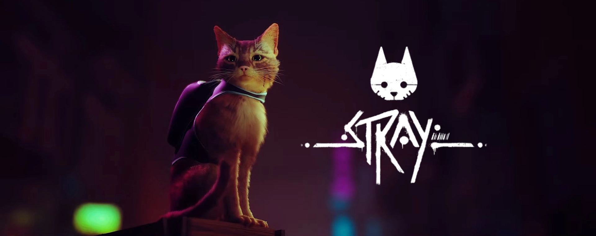 Компьютер для Stray - цены в Украине