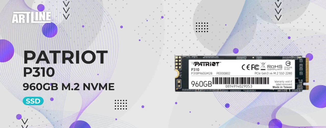 SSD диск Patriot P310 960GB M.2 NVMe (P310P960GM28)