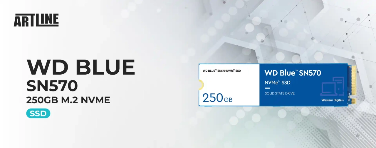 SSD диск WD Blue SN570 250GB M.2 NVMe PCIe 3.0 4x TLC (WDS250G3B0C)