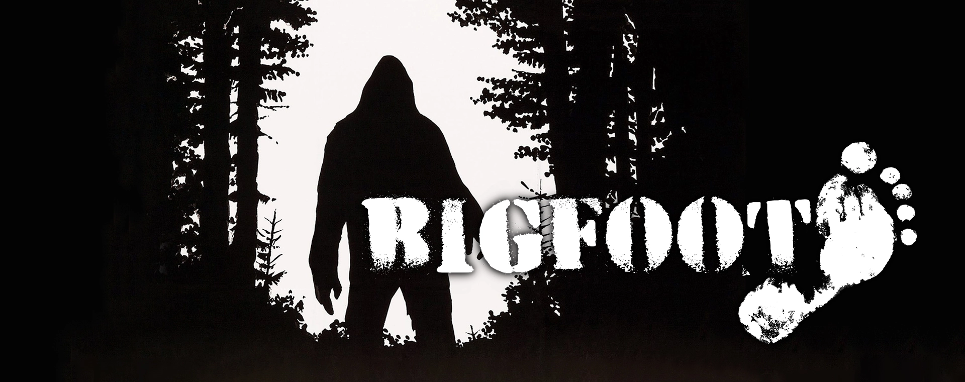 Компьютер для Bigfoot - цены в Украине