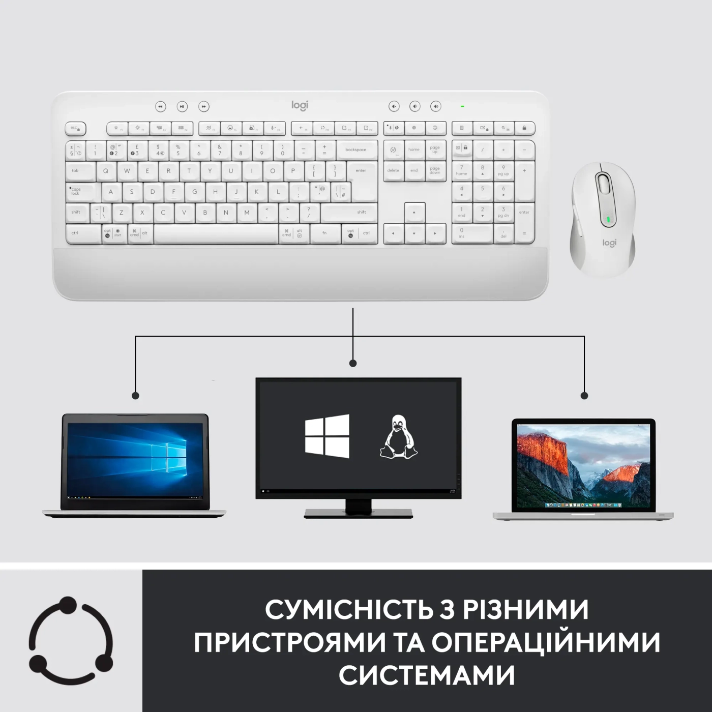Купить Комплект клавиатура и мышь Logitech Signature MK650 Combo for Business Off-white (920-011032) - фото 6