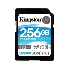 Купить Карта памяти Kingston SDXC 256GB Canvas Go! Plus C10 UHS-I U3 V30 (SDG3/256GB) - фото 1