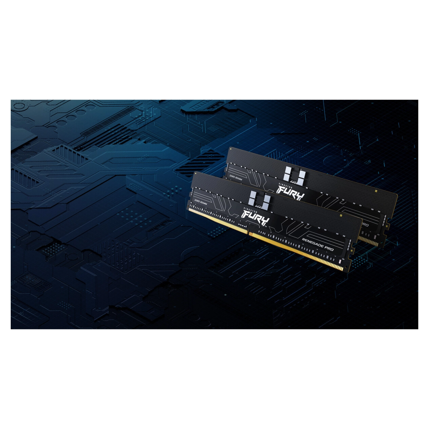 Купити Модуль пам'яті Kingston Fury Renegade Pro XMP ECC Registered DDR5-4800 64GB (4x16GB) (KF548R36RBK4-64) - фото 9