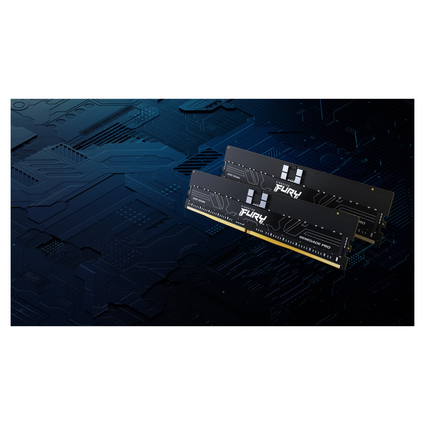 Купити Модуль пам'яті Kingston Fury Renegade Pro XMP ECC Registered DDR5-6000 256GB (8x32GB) (KF560R32RBK8-256) - фото 9