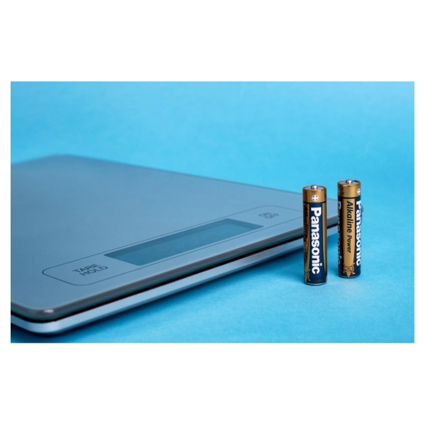 Купить Батарейка Panasonic ALKALINE POWER AAA BLI 10 (LR03REB/10BW) - фото 3