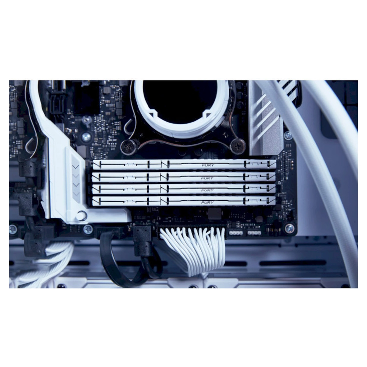 Купити Модуль пам'яті Kingston FURY Beast White DDR5-6000 16GB AMD EXPO (KF560C36BWE-16) - фото 5