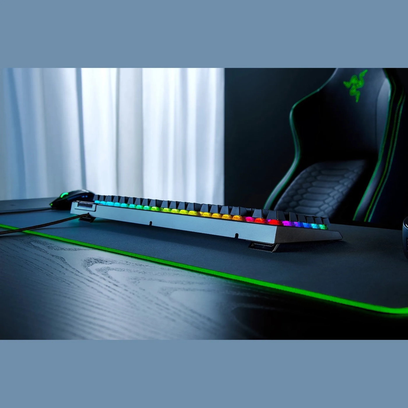 Купить Клавиатура RAZER BlackWidow V4 X Green Switch RU (RZ03-04700800-R3R1) - фото 5