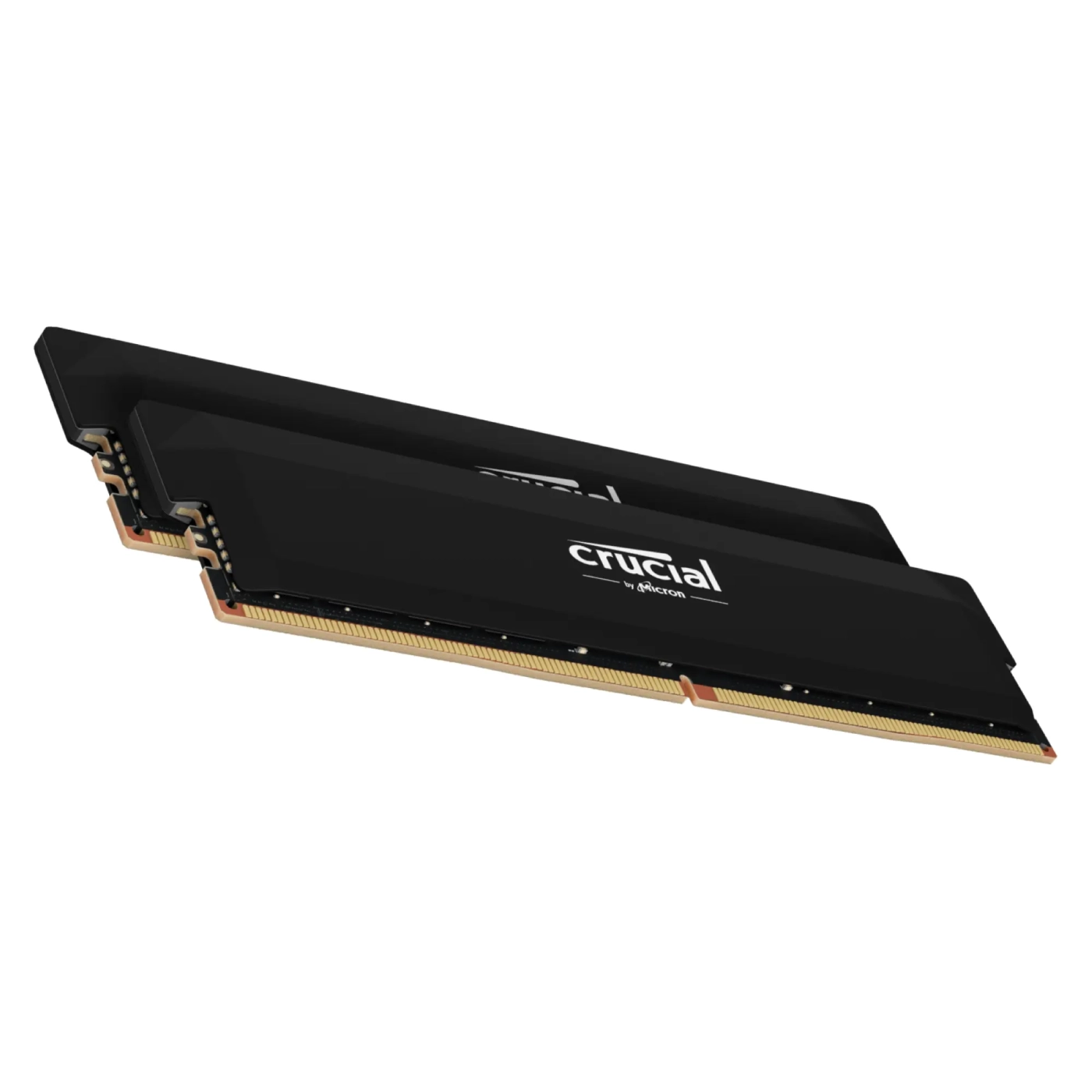 Купить Модуль памяти Crucial Pro Overclocking Black DDR5-6000 32GB (2x16GB) (CP2K16G60C36U5B) - фото 1