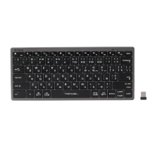 Купить Клавиатура A4Tech Fstyler FBX51C Grey - фото 1