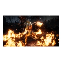 Купить Игра Sony Mortal Kombat 11 Ultimate Edition [PS5, Russian subtitles] (5051895413210) - фото 4