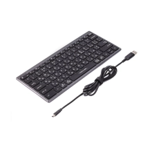 Купити Клавіатура A4Tech FX-51 USB (Grey) - фото 2