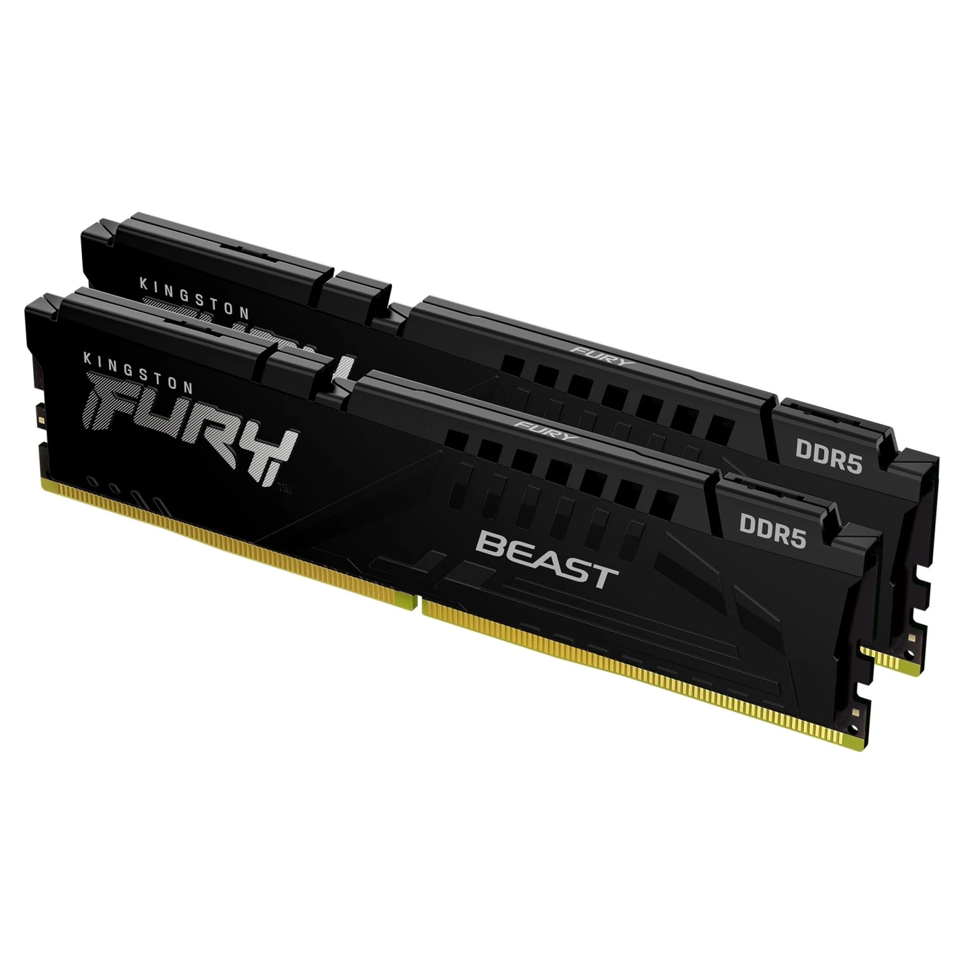Купить Модуль памяти Kingston FURY Beast Black DDR5-6000 32GB (2x16GB) (KF560C30BBEK2-32) - фото 1