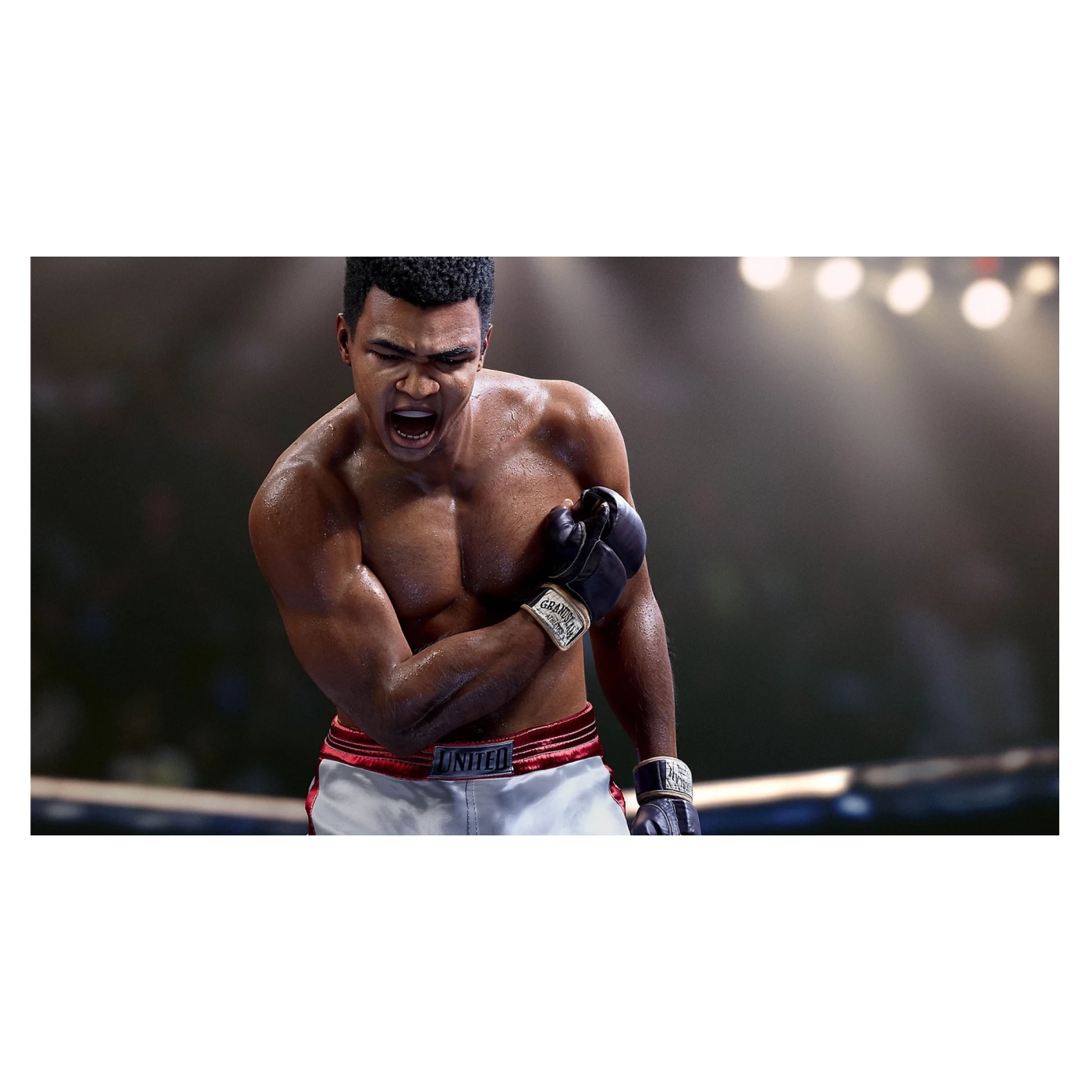 Купити Гра Sony EA Sports UFC 5 [PS5, BD диск] (1163870) - фото 3