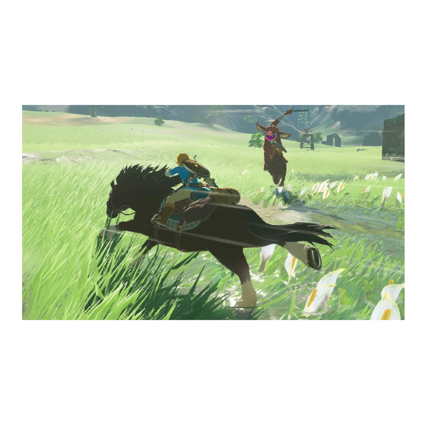 Купити Гра Nintendo The Legend of Zelda: Breath of the Wild, картридж (045496420055) - фото 2