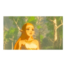 Купить Игра Nintendo The Legend of Zelda: Breath of the Wild, картридж (045496420055) - фото 5