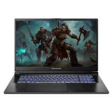 Купить Ноутбук Dream Machines RG4050-17 (RG4050-17UA29) - фото 1