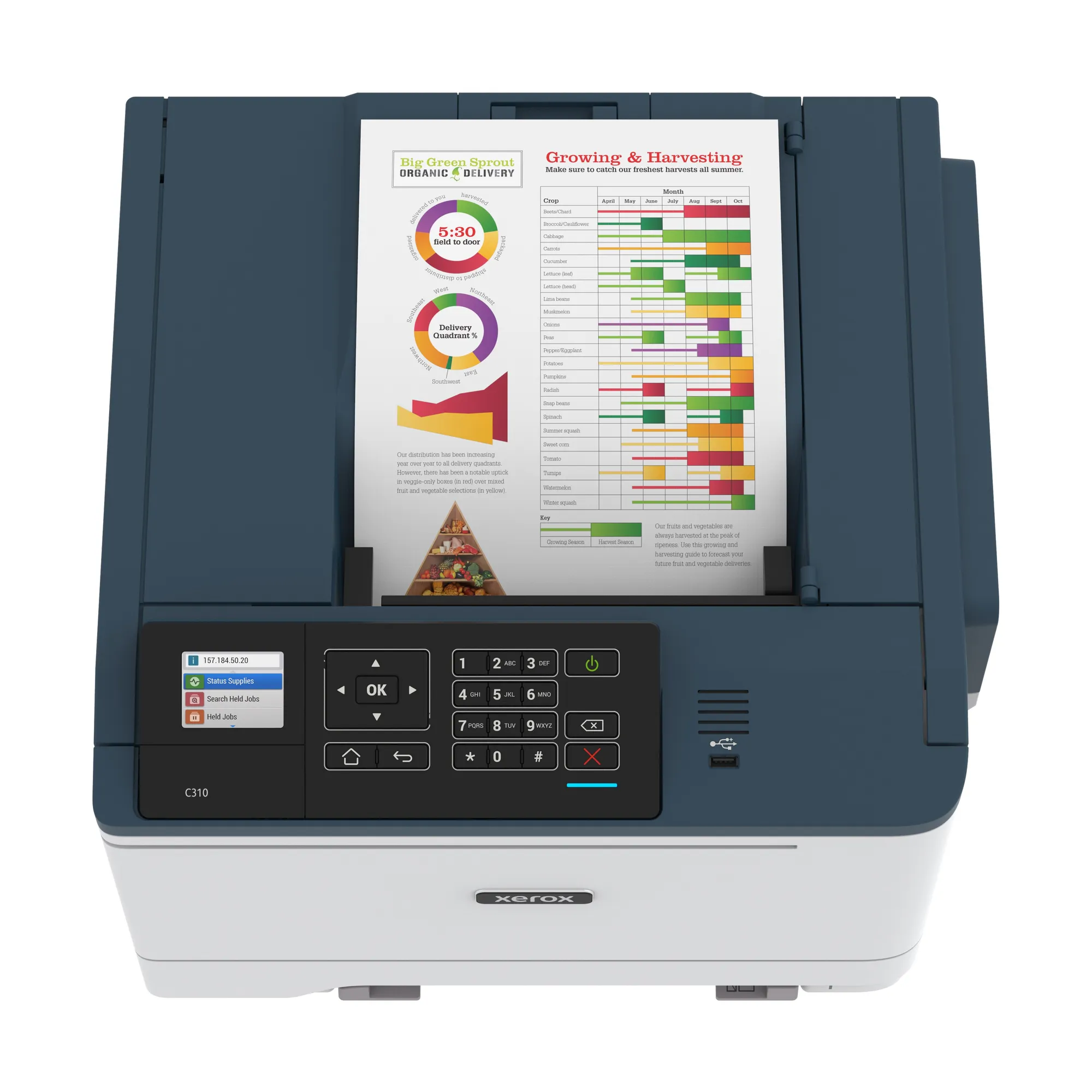 Купити Принтер А4 Xerox C310 з Wi-Fi (C310V_DNI) - фото 7