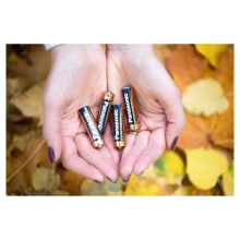 Купить Батарейка Panasonic ALKALINE POWER AA BLI 4 (LR6REB/4BPR) - фото 2