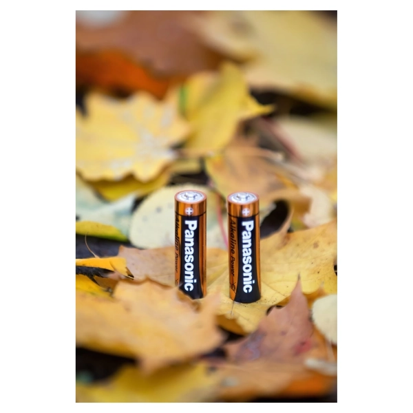 Купить Батарейка Panasonic ALKALINE POWER AA BLI 4 (LR6REB/4BPR) - фото 3