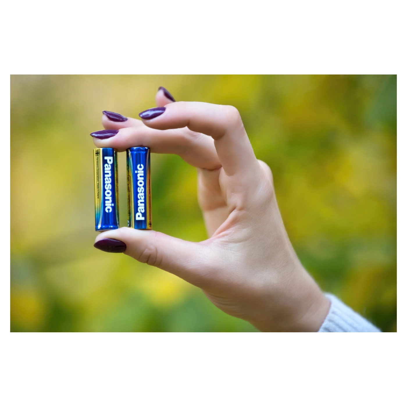 Купить Батарейка Panasonic EVOLTA ALKALINE AA 2 шт. (LR6EGE/2BP) - фото 2