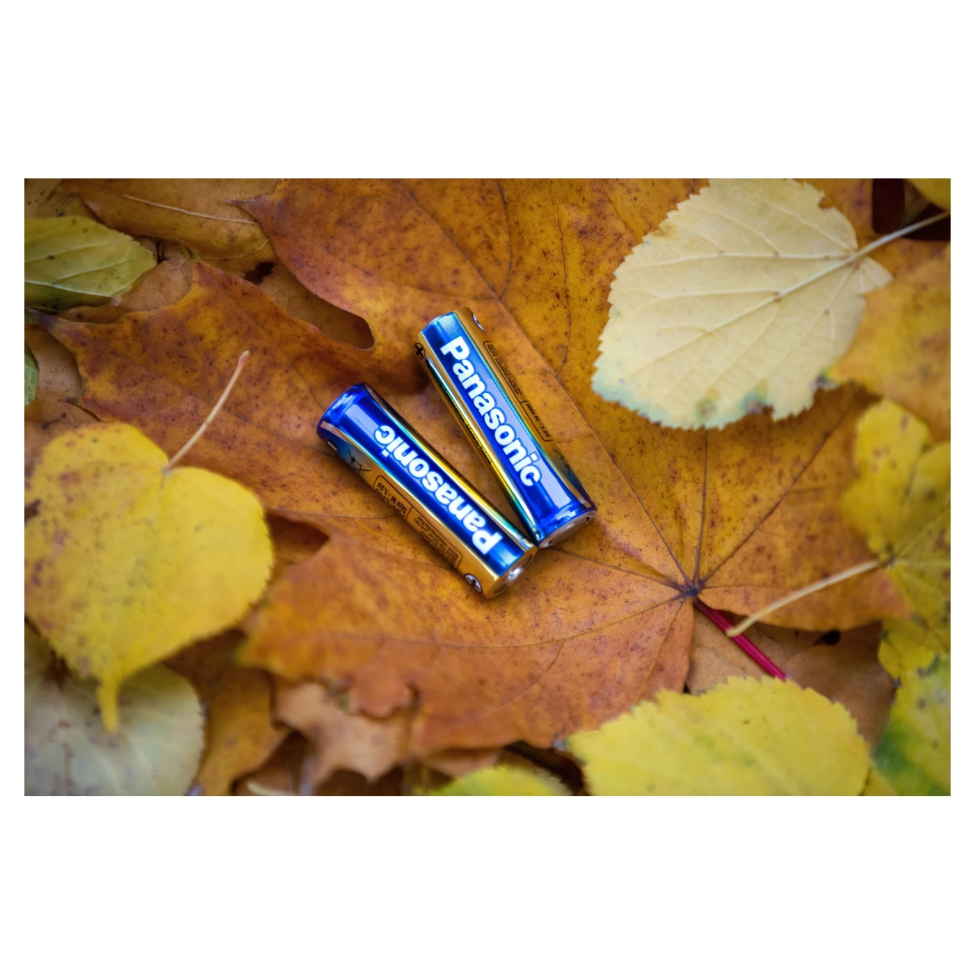 Купить Батарейка Panasonic EVOLTA ALKALINE AA 2 шт. (LR6EGE/2BP) - фото 3