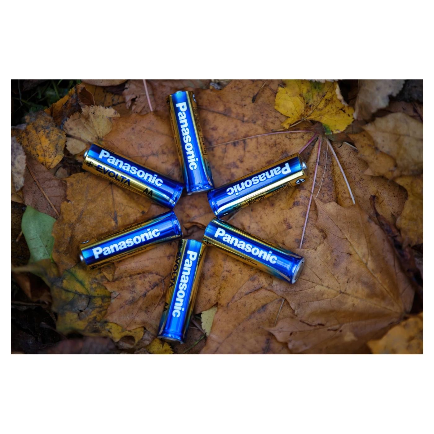 Купить Батарейка Panasonic EVOLTA ALKALINE AA 2 шт. (LR6EGE/2BP) - фото 4