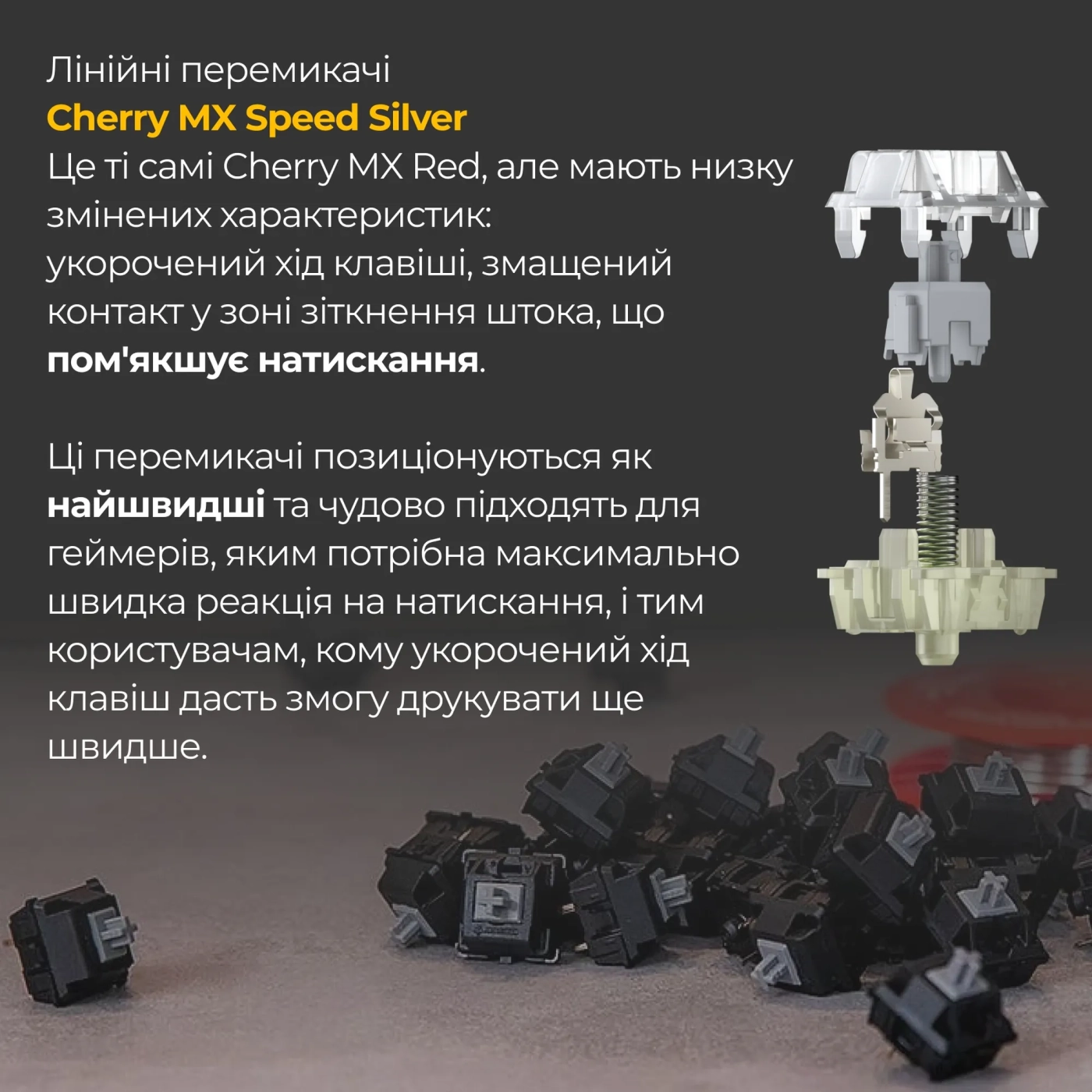 Купить Клавиатура Ducky One 3 Matcha Cherry MX Speed Silver (DKON2108-PUAPXМAEGGC1) - фото 6