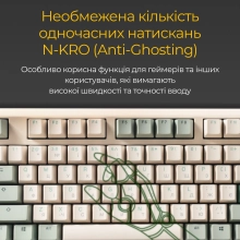 Купить Клавиатура Ducky One 3 Matcha Cherry MX Speed Silver (DKON2108-PUAPXМAEGGC1) - фото 14