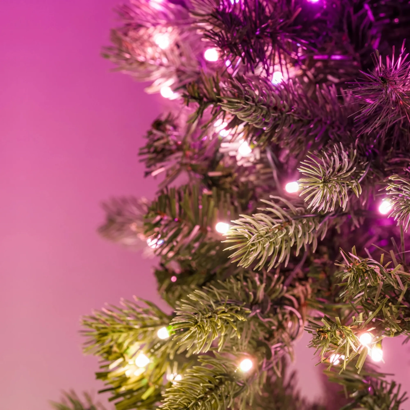 Купити Розумна LED гірлянда Twinkly Pre-lit Regal Tree RGBW (TG70P4425P01) - фото 3