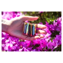Купить Батарейка Panasonic PRO POWER ALKALINE C(LR14) 2 шт. (LR14XEG/2BP) - фото 3