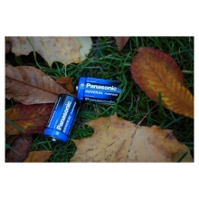 Купити Батарейка Panasonic GENERAL PURPOSE COAL-ZINC D(R20) 2 шт. (R20BER/2P) - фото 2