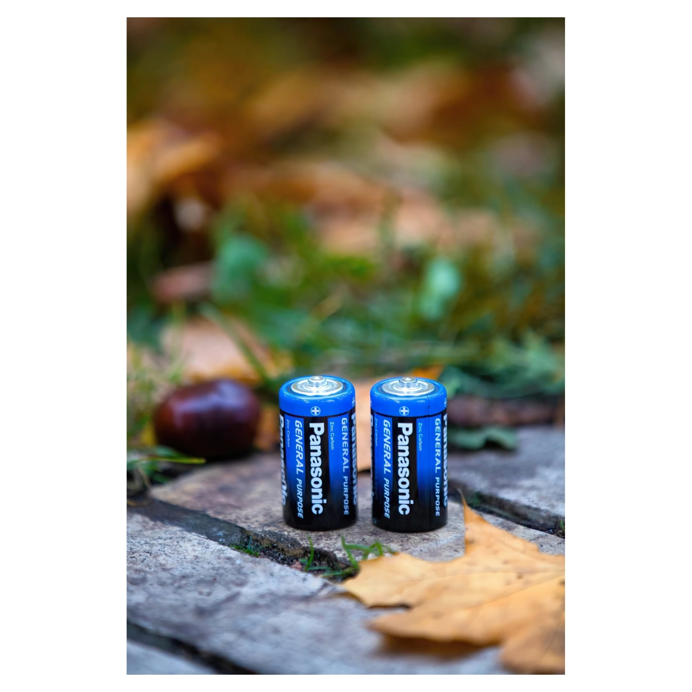 Купити Батарейка Panasonic GENERAL PURPOSE COAL-ZINC D(R20) 2 шт. (R20BER/2P) - фото 3
