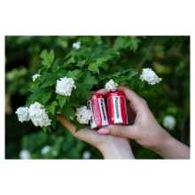 Купить Батарейка Panasonic RED ZINK COAL-ZINC D(R20) 2 шт. (R20REL/2BPR) - фото 3
