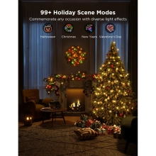 Купити Розумна LED гірлянда Govee H70C1 Christmas Light RGB 10m Clear Wire (H70C13D1) - фото 2