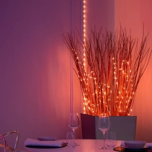 Купити Розумна LED гірлянда Twinkly Dots Lights RGB 200LED 10m Clear (TWD200STP-TEU) - фото 5