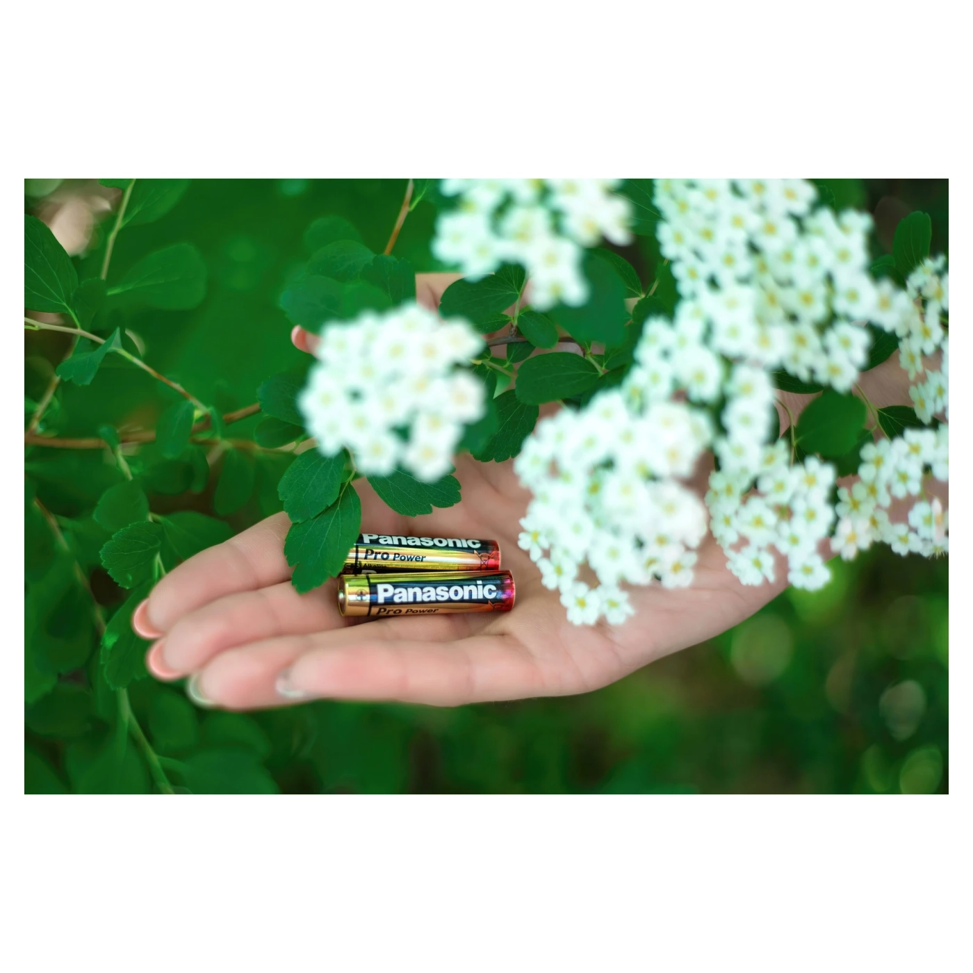 Купити Батарейка Panasonic PRO POWER ALKALINE AAA 2 шт. (LR03XEG/2BP) - фото 3