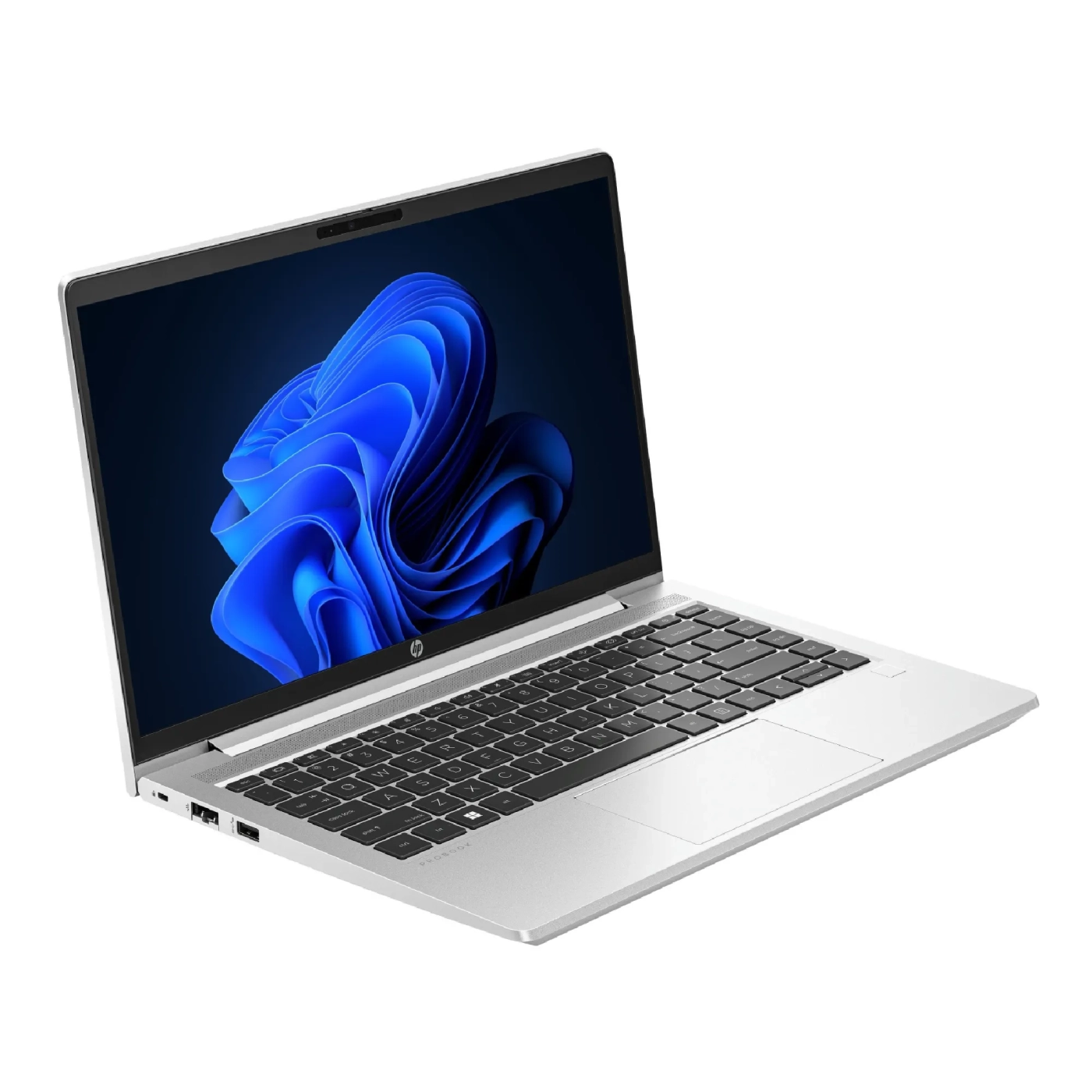 Купить Ноутбук HP Probook 445-G10 (816Q5EA) - фото 2