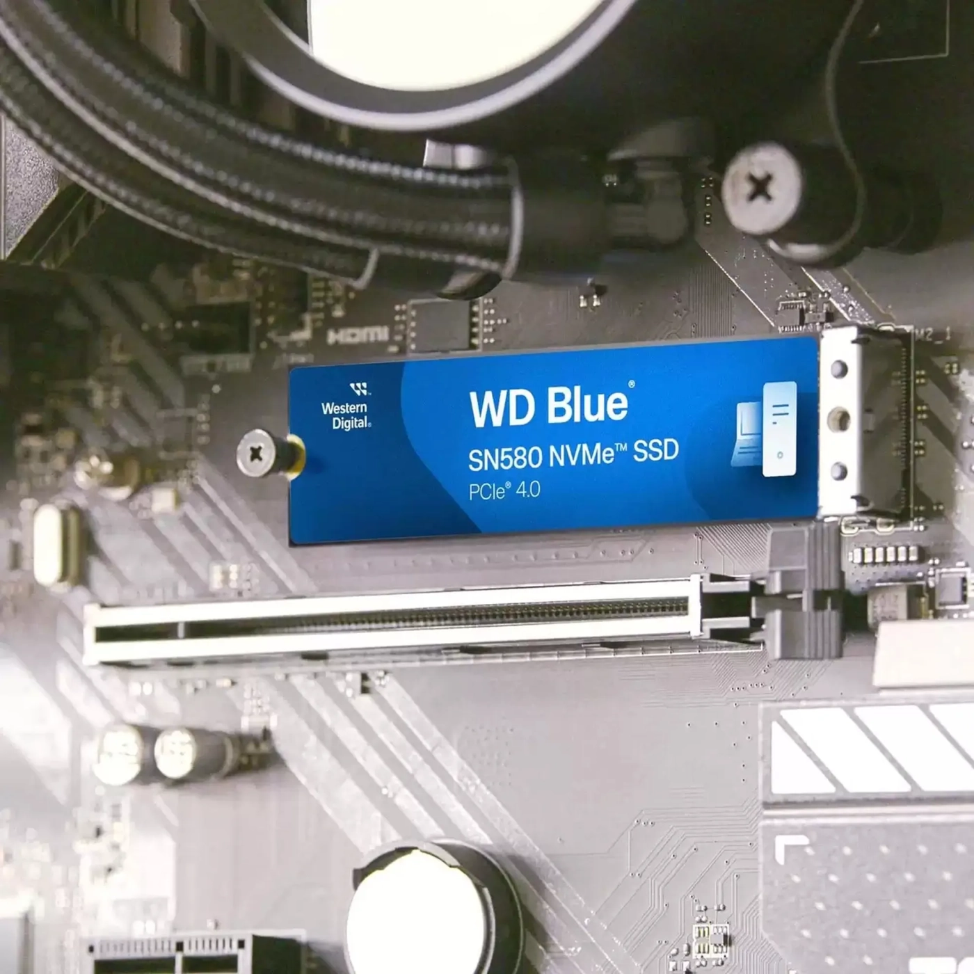 Купить SSD диск WD Blue SN580 250GB M.2 (WDS250G3B0E) - фото 3