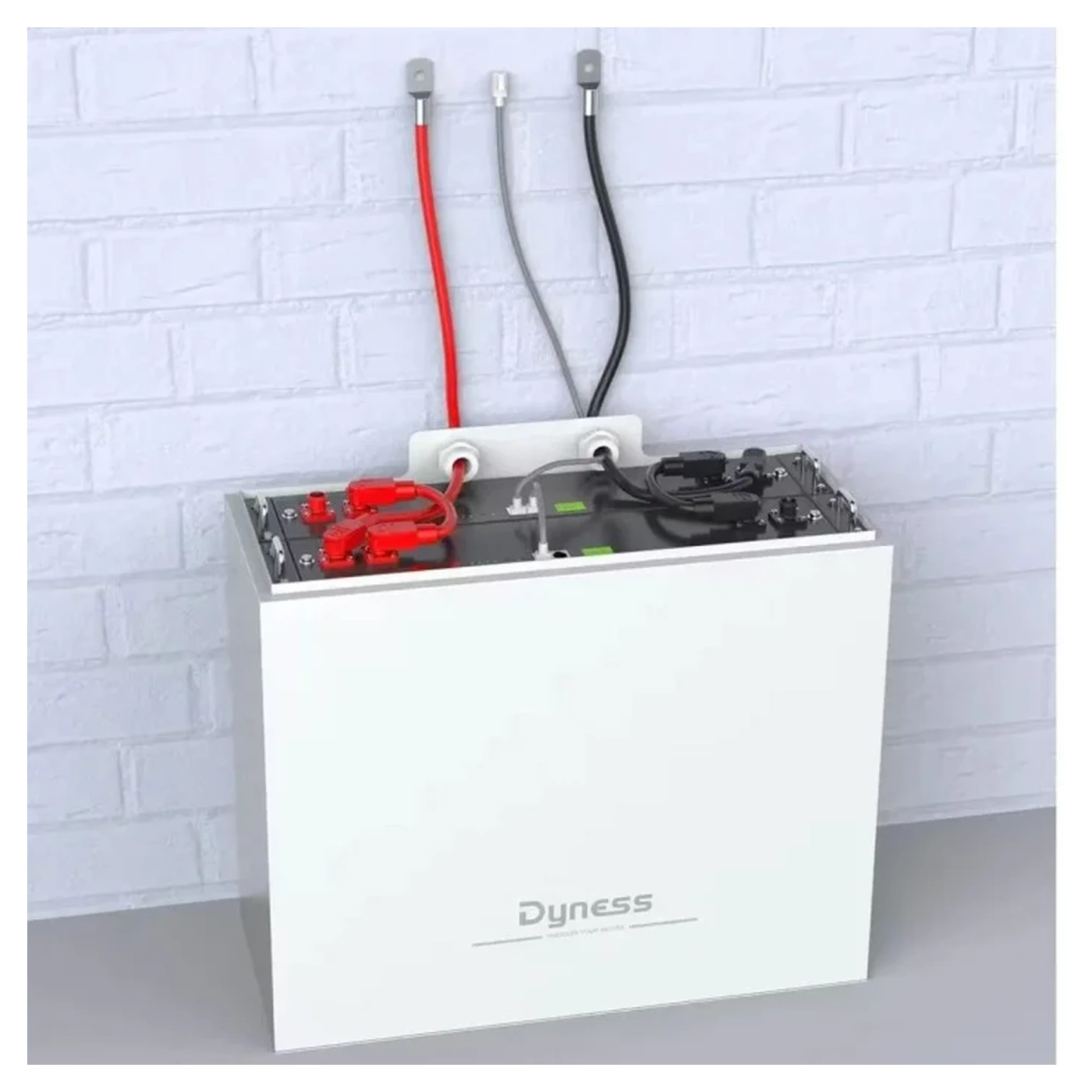 Купить Шкаф для DYNESS 2xB4850 (B4850_2in1Box) - фото 4