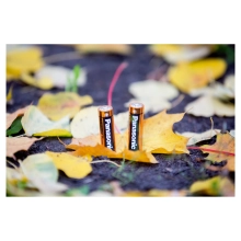 Купити Батарейка Panasonic ALKALINE POWER AA BLI 10 (LR6REB/10BW) - фото 3