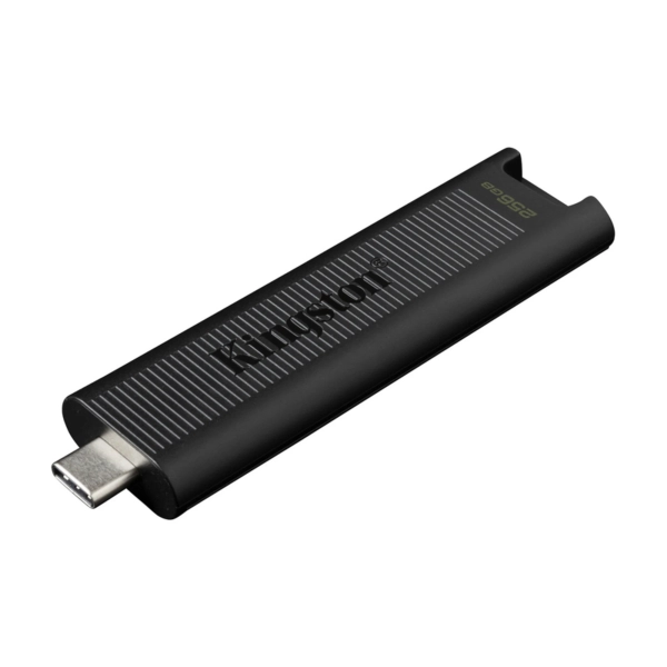 Купити Флеш-накопичувач Kingston USB-С 3.2 256GB DataTraveler Max Black (DTMAX/256GB) - фото 1