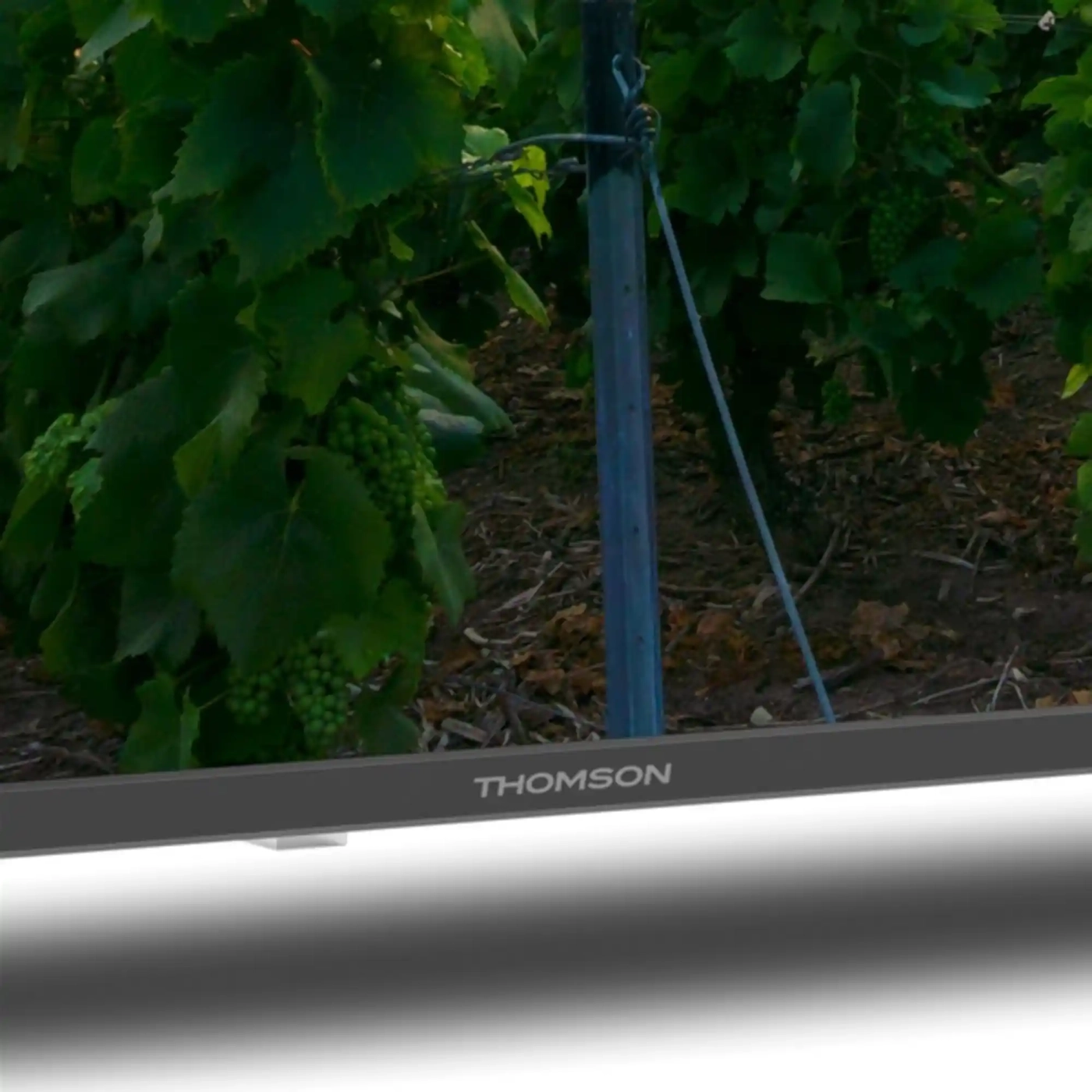 Купить Телевизор THOMSON 55QA2S13 - фото 5