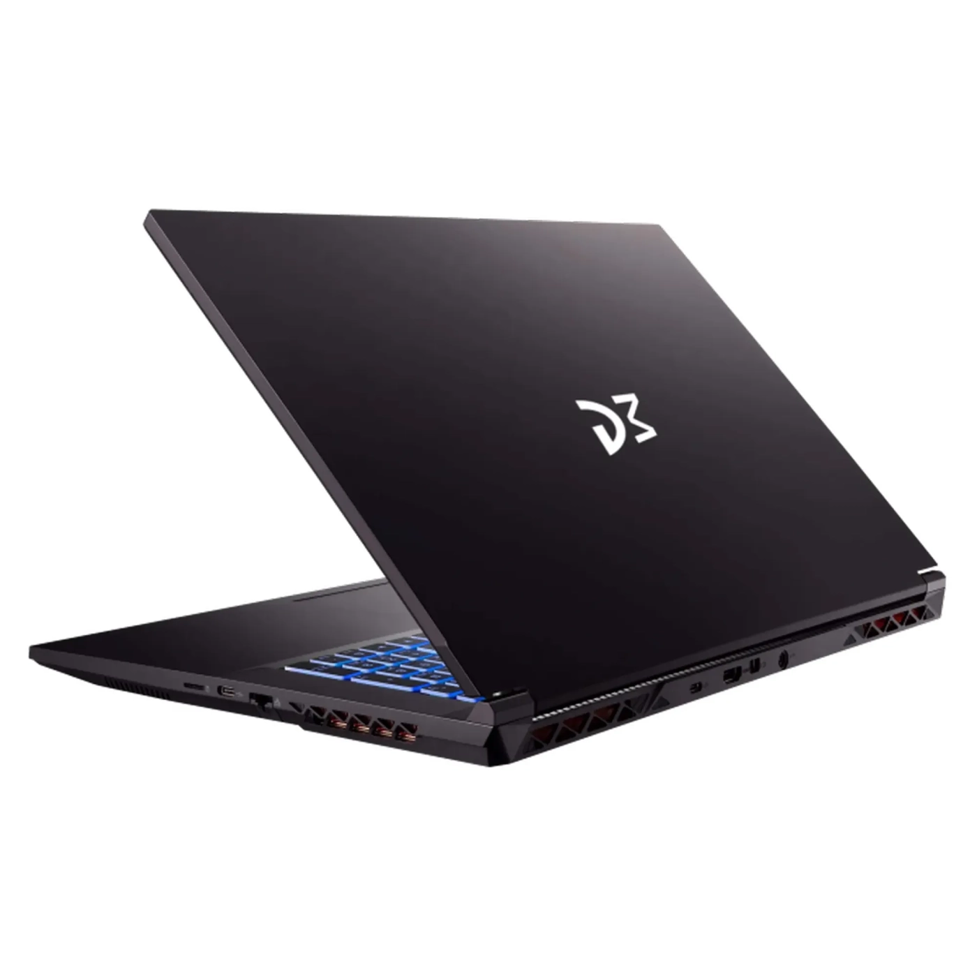 Купить Ноутбук Dream Machines RG2050-17 (RG2050-17UA22) - фото 4