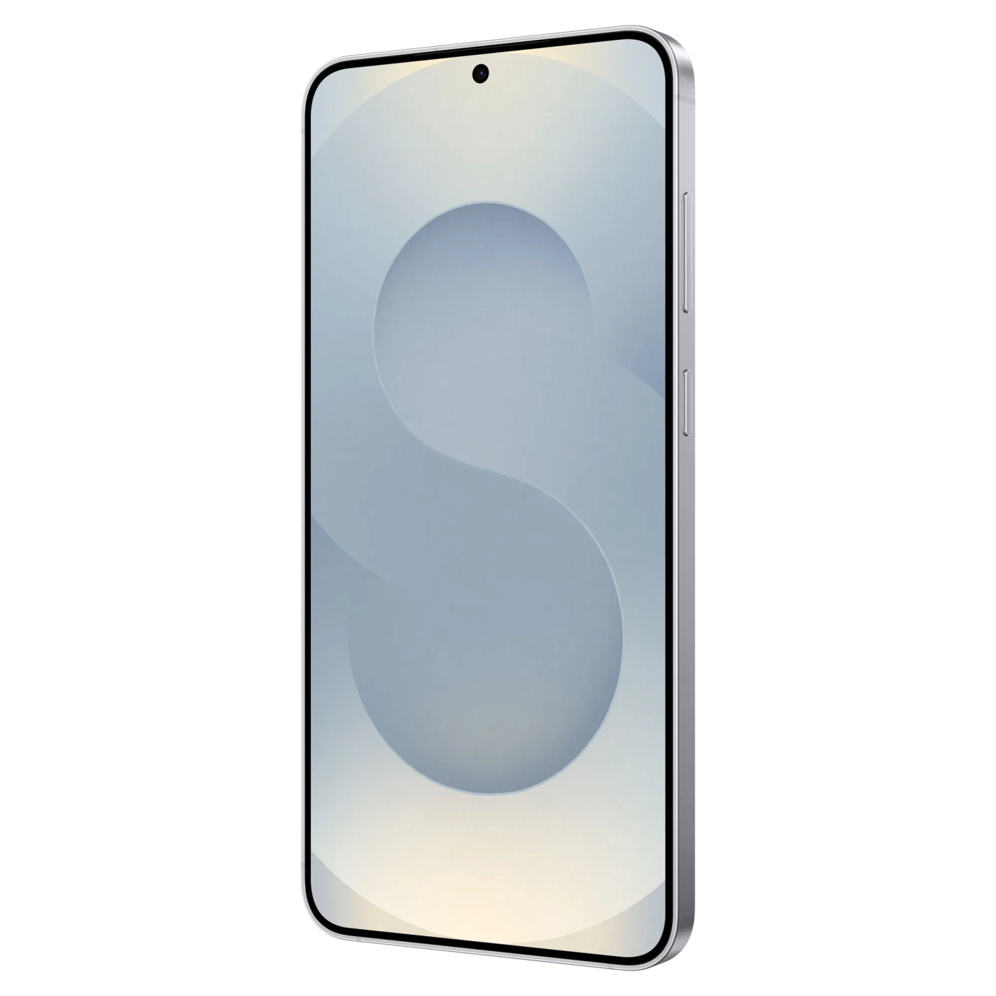 Купить Смартфон Samsung Galaxy S25 Plus 5G 12/256GB Silver Shadow (SM-S936BZSDEUC) - фото 2