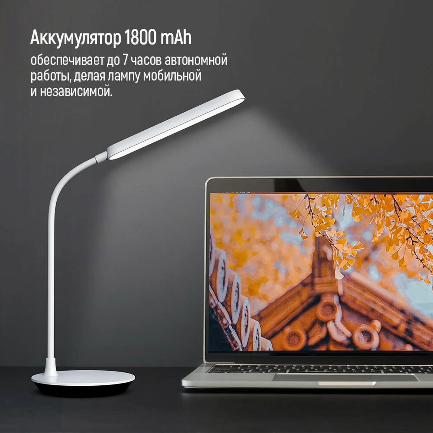 Купити Настільна лампа ColorWay Portable & Flexible 360 White з вбудованим акумулятором (CW-DL12FB-W) - фото 9