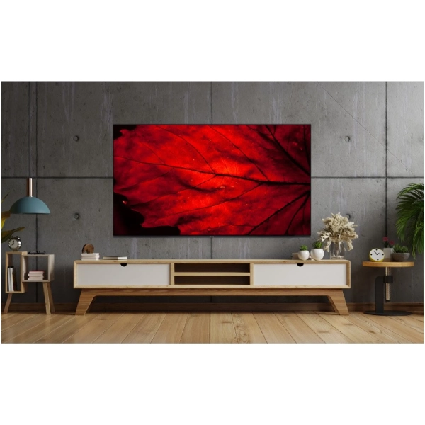 Купить Телевизор AIWA 43GO60804FHD - фото 5