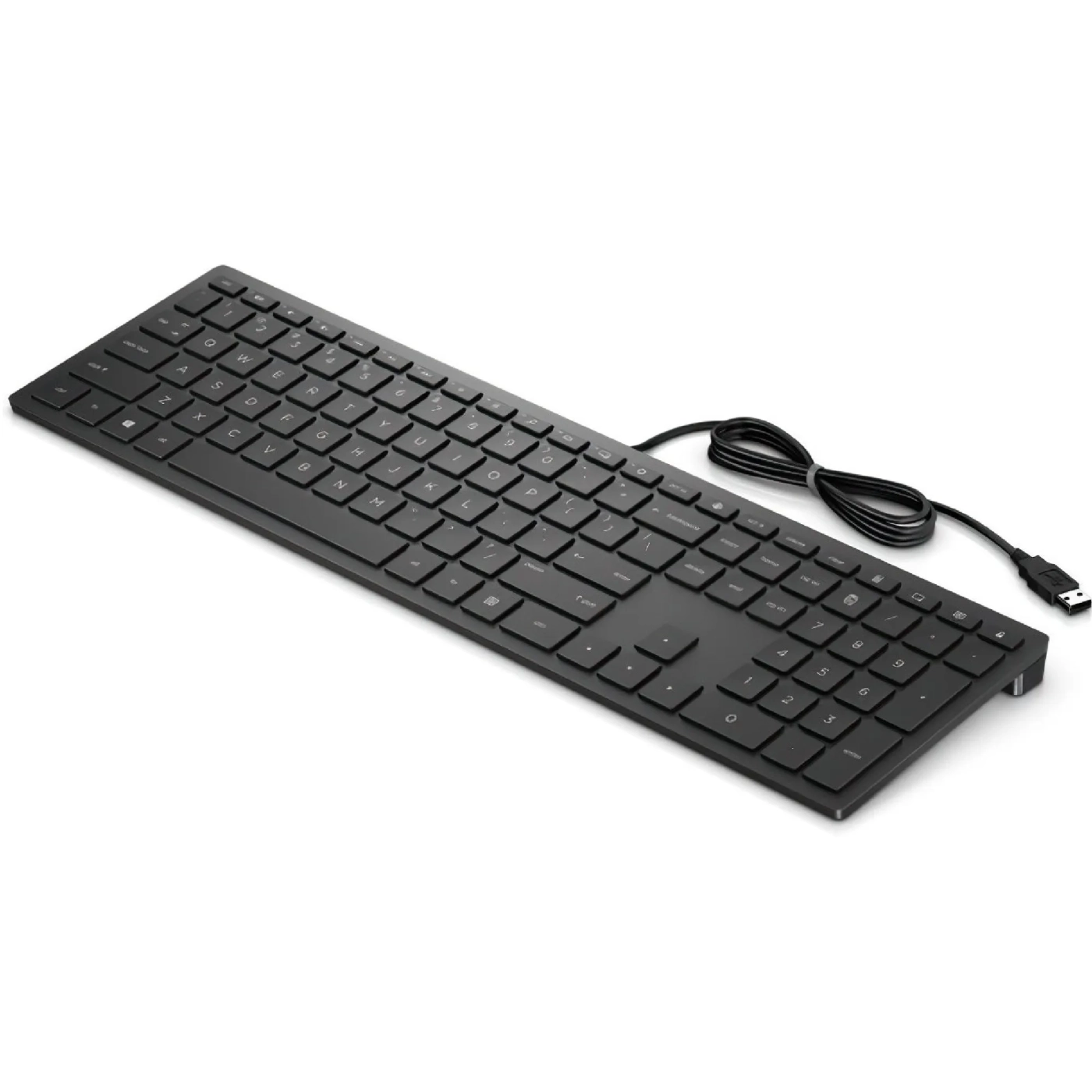 Купити Клавіатура HP Pavilion 300 USB Black (4CE96AA) - фото 2