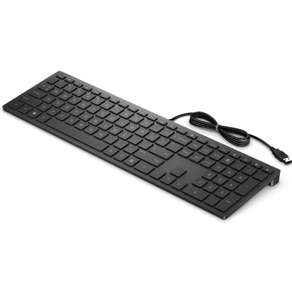 Купити Клавіатура HP Pavilion 300 USB Black (4CE96AA) - фото 2