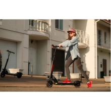 Купить Электросамокат Kaabo Skywalker 8 ECO500 - фото 8